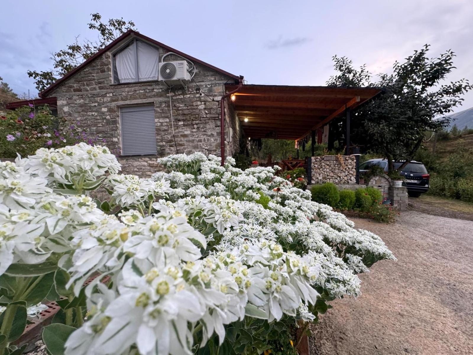 Stone House Villa Kelcyre Bagian luar foto